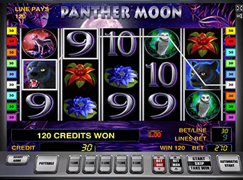 В клубе автоматы Panther Moon